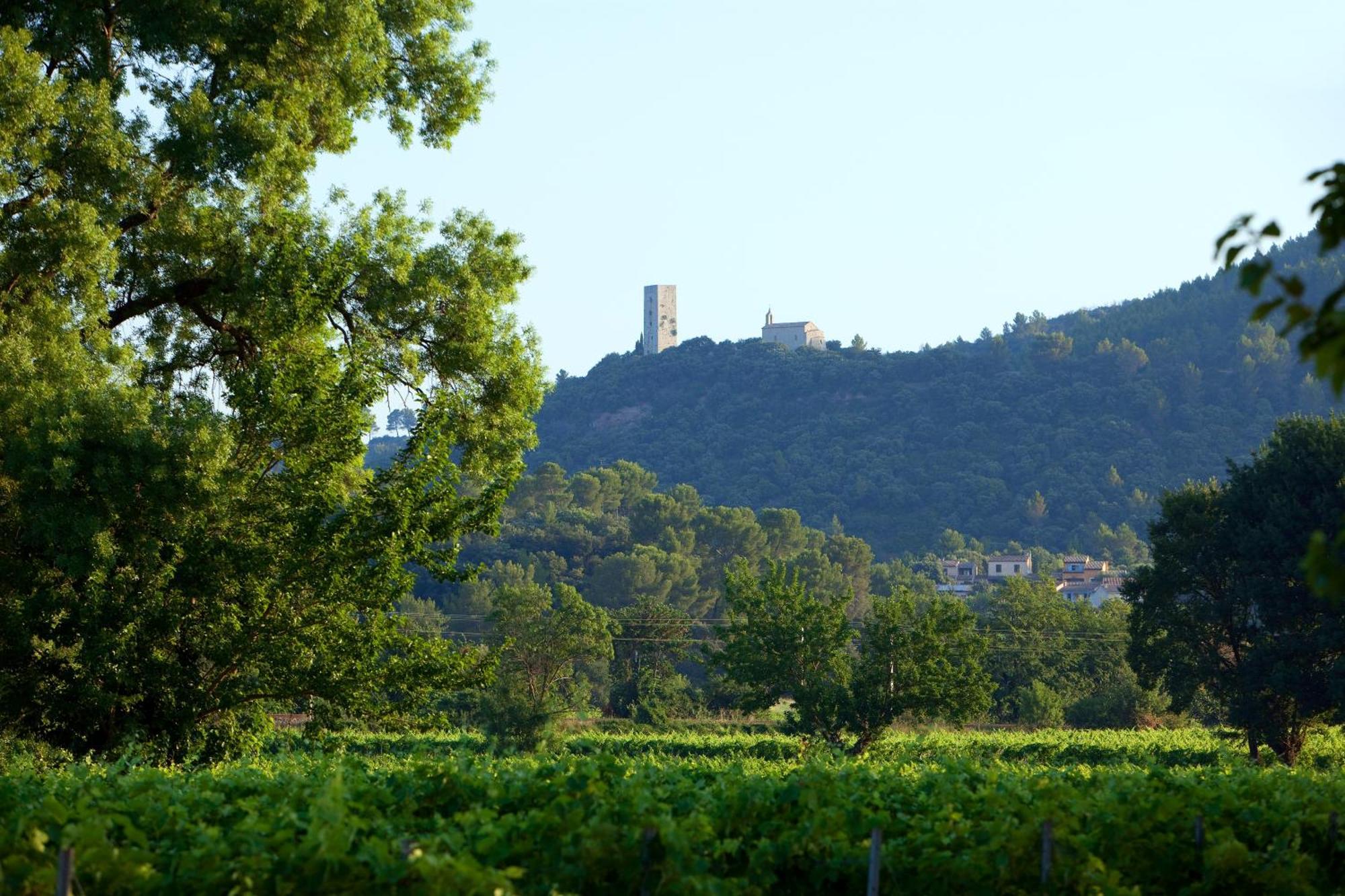 Chateau De Saint Martin Taradeau Екстериор снимка