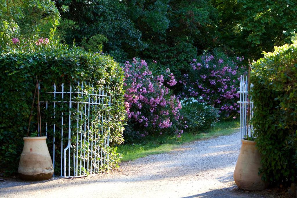 Chateau De Saint Martin Taradeau Екстериор снимка